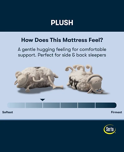 Serta Perfect Sleeper Iceland Poppy 13" Plush Tight Top Mattress Set