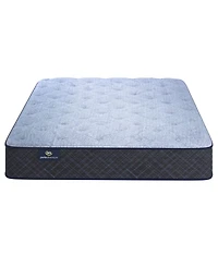 Serta Perfect Sleeper Cobra Lily 10.5" Plush Tight Top Mattress Set, Twin Xl