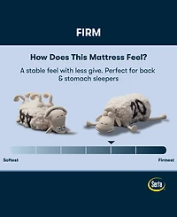 Serta Perfect Sleeper Iceland Poppy 12" Firm Tight Top Mattress Set, Twin
