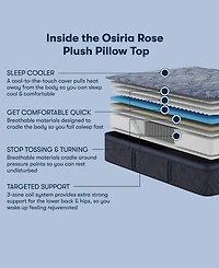 Serta Perfect Sleeper Osiria Rose 15" Plush Pillow Top Mattress Set, Queen