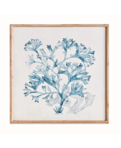Translucent Coral Print - Blue Framed Art - Coastal Decor