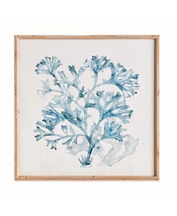 Translucent Coral Print - Blue Framed Art - Coastal Decor