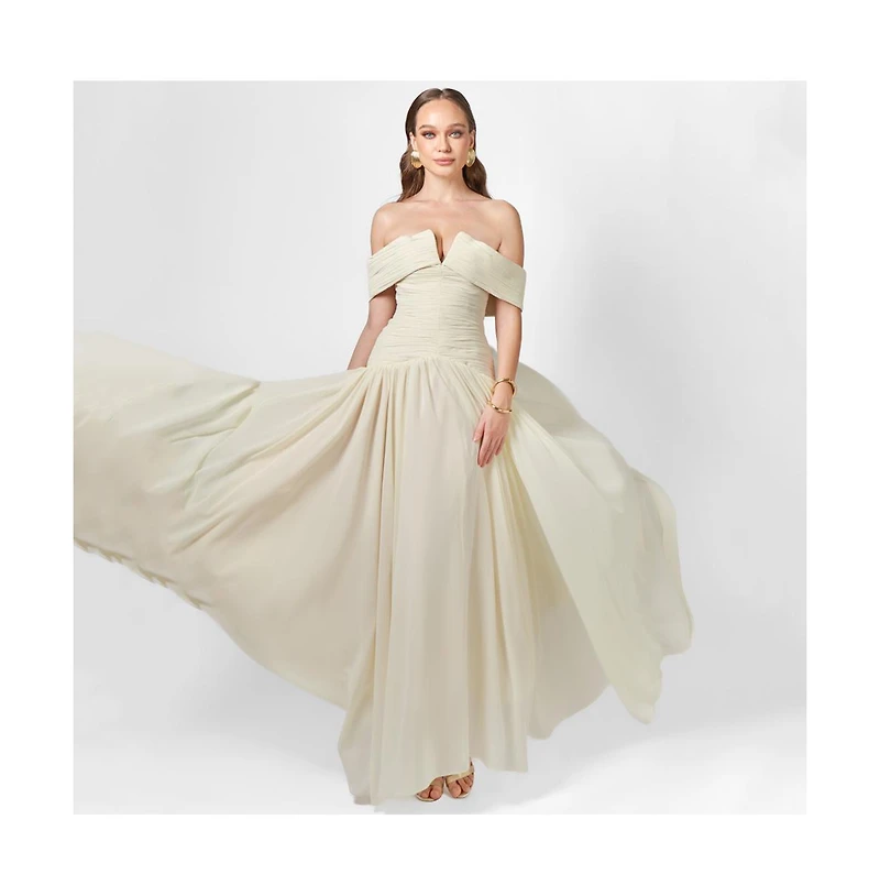 Bariano Women's Keecia Off Shoulder Chiffon Gown