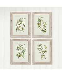 Framed Olive Leaf Botanical Prints Set of 4