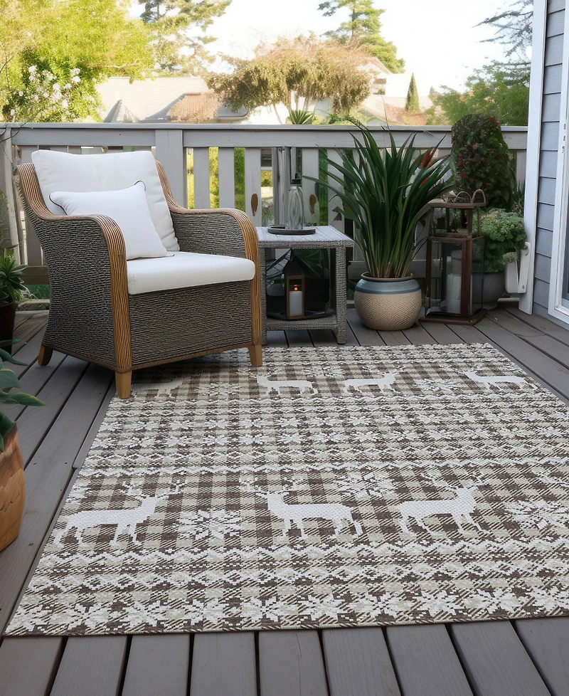 Addison Holiday Washable Indoor/Outdoor ACN1820 10'x14' Area Rug