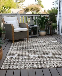 Addison Holiday Washable Indoor/Outdoor ACN1820 10'x14' Area Rug