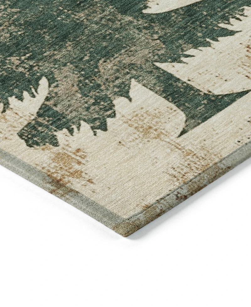 Addison Holiday Washable Indoor/Outdoor ACN1811 2'3"x7'6" Runner Area Rug