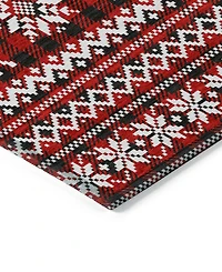 Addison Holiday Washable Indoor/Outdoor ACN1820 2'3"x7'6" Runner Area Rug