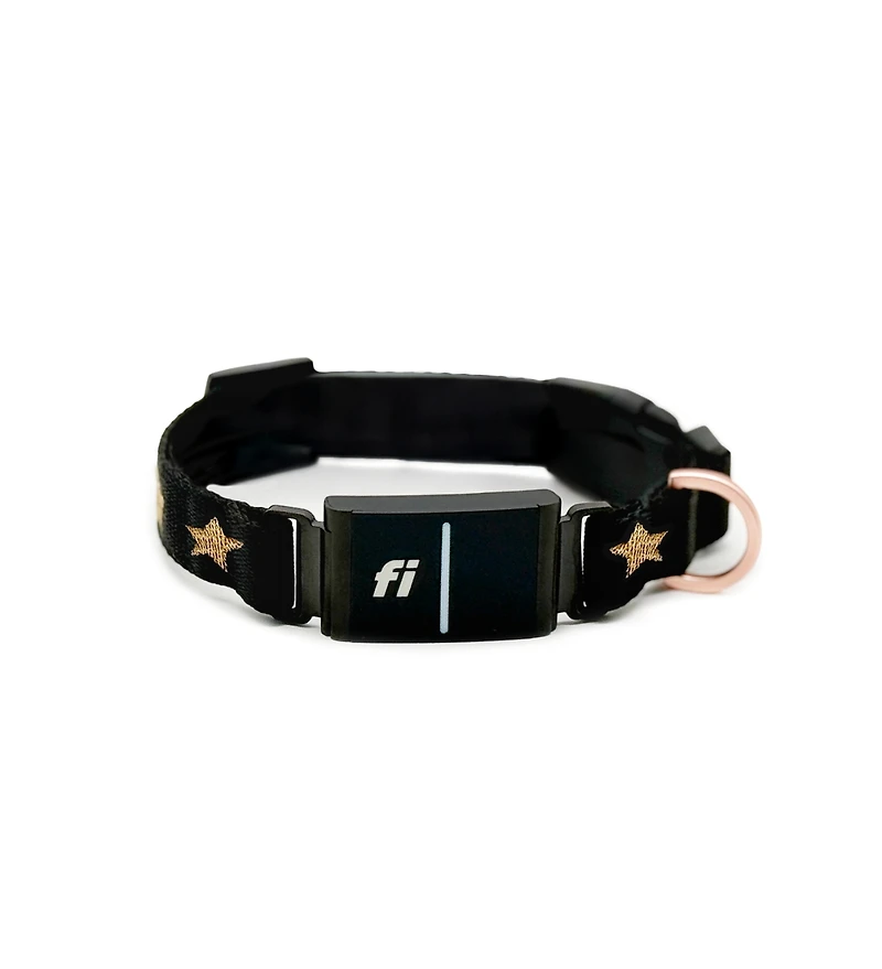The Dogistry x Fi Rockstar Collar