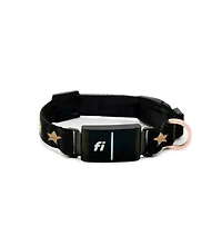 The Dogistry x Fi Rockstar Collar