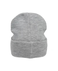 Dungeons & Dragons Men's Ampersand Logo Embroidery Heather Gray Acrylic Knit Cuff Beanie