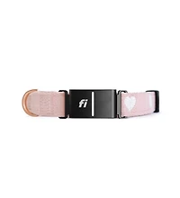 The Dogistry x Fi Sweetheart Collar