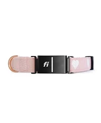 The Dogistry x Fi Sweetheart Collar
