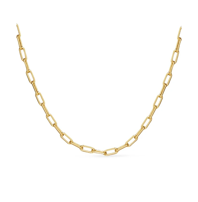 Ana Luisa Link Chain Necklace - Laura Slim