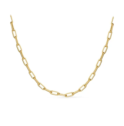 Ana Luisa Link Chain Necklace - Laura Slim