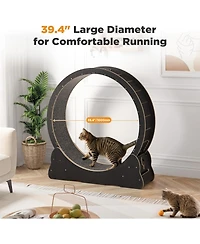 Aecojoy 43.3'' Cat Wheel for Indoor Cats
