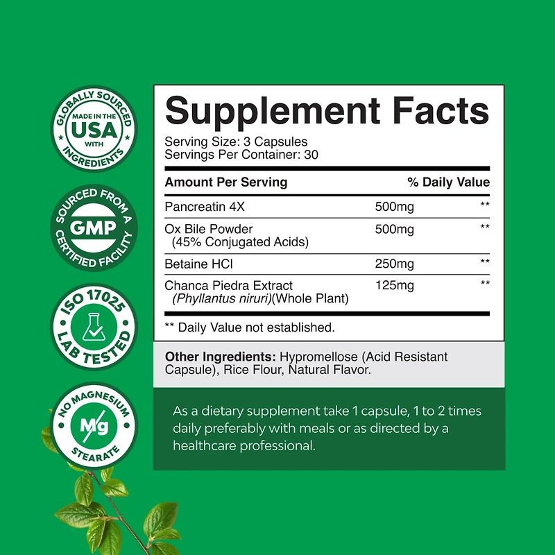 Gallbladder Support Capsule, Spearmint, 90ct