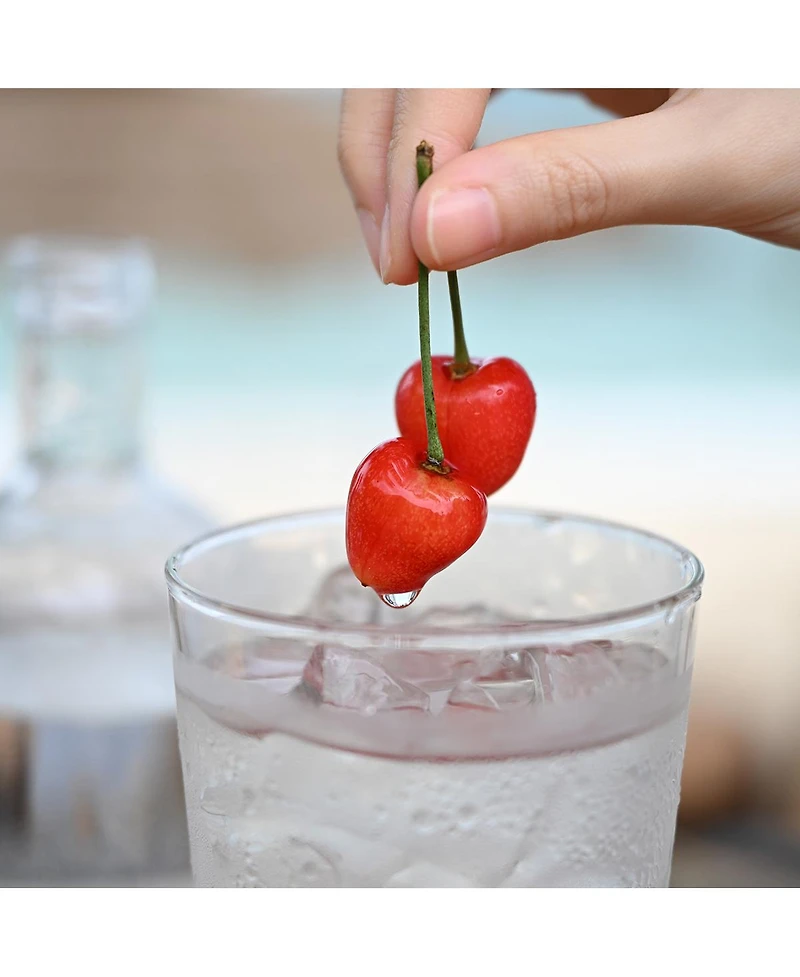 Nikon Nikkor Z 24-70mm f/2.8 S Ii Lens