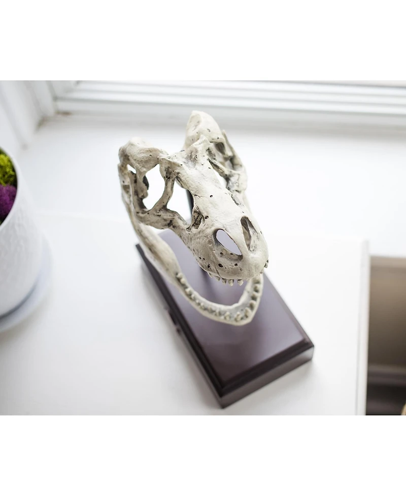 Surreal Entertainment Jurassic World Tyrannosaurus Rex Skull Resin Replica - 9x8-Inch TRex Dinosaur Head Statue