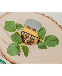 Silver Buffalo Disney Pixar Wall-e 4-Inch Ceramic Mini Planter With Artificial Succulent | Cute Small Flower Pot, Faux Indoor Plant For Desk Shelf