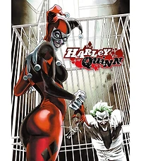 Dc Comics Harley Quinn & Joker 500 Piece Jigsaw Puzzle