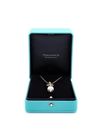 Pre-Owned Tiffany & Co x Pharrell Williams Titan Pendant Necklace