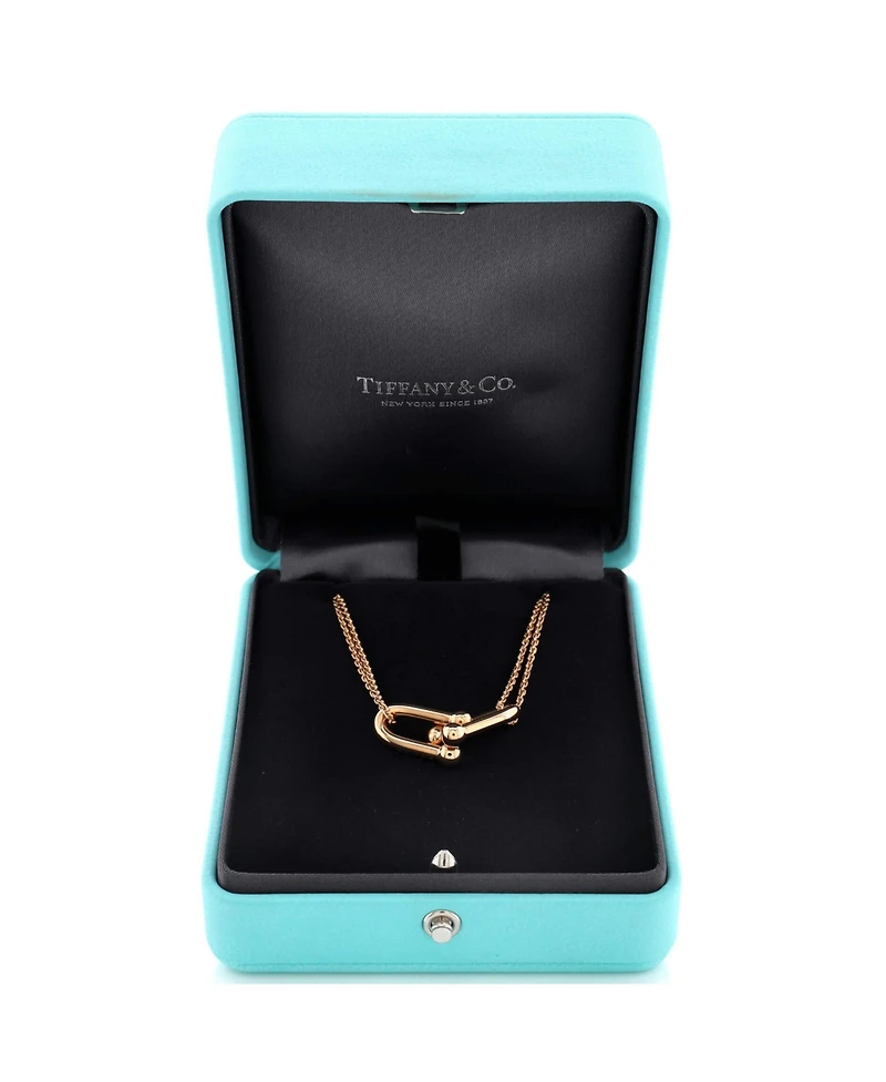 Pre-Owned Tiffany & Co HardWear Double Link Pendant Necklace