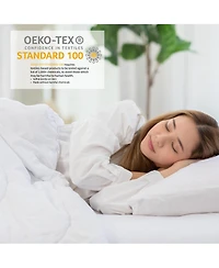 Greenland Home Fashions Chloe Light Filtering Semi Sheer 3" Rod Pocket Window Panel Pair 42" x 84" Pastel