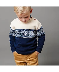Hope & Henry Baby Boys Long Sleeve Intarsia Crew Neck Pullover Sweater with Buttons