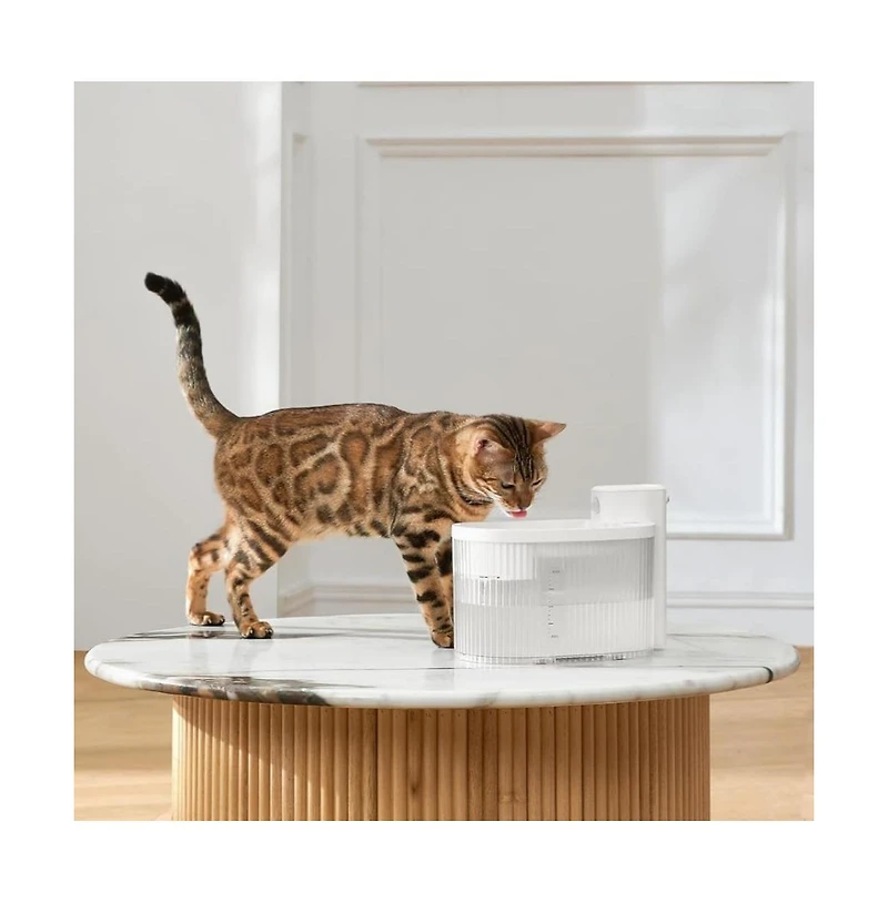 PetMarvel Cordless Cat Water Fountain Mini 2.5L/85oz