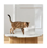 PetMarvel Cordless Cat Water Fountain Mini 2.5L/85oz