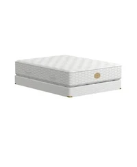 Shifman Wondrous 13 Firm Tight Top Mattress Collection