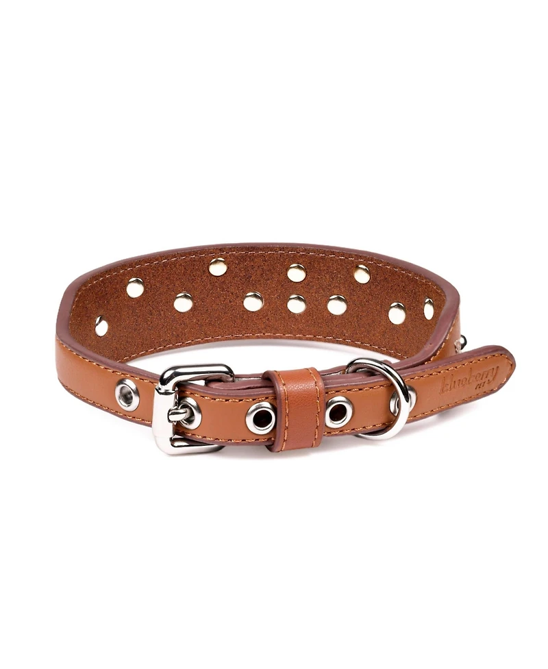 Blueberry Pet Western Style Full Grain Genuine Leather Embroidered Dog Collar with Pearl or Turquoise Studs