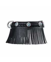 Blueberry Pet Silver-Powered Freshness Microfiber Suede Dog Collar in Midnight Black– Fringed Style with Turquoise Studs