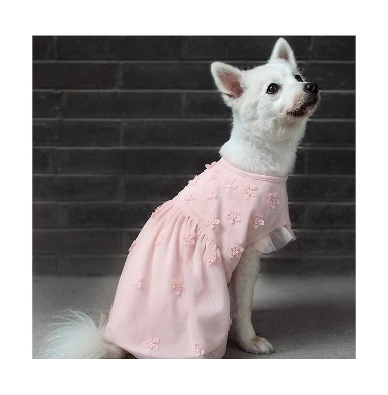 Blueberry Pet Breton Stripe Dog Dress