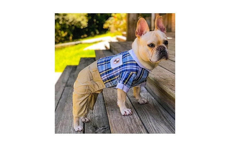 Parisian Pet Plaid Royal Jumpsuit Blue