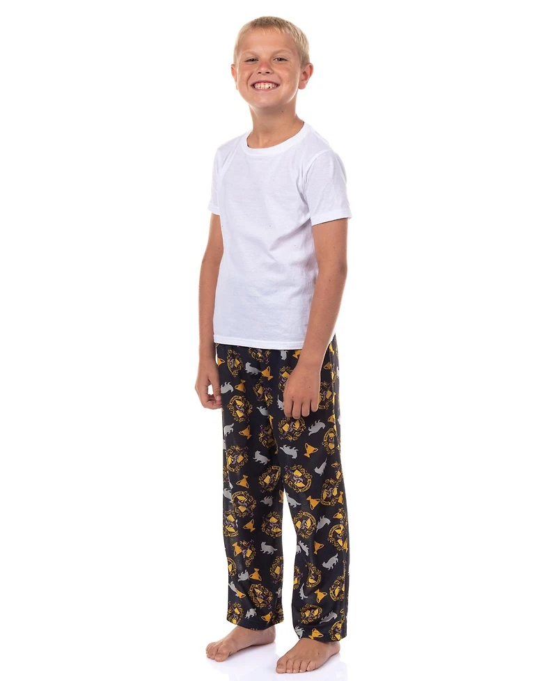 Harry Potter Boys Pajamas House Crest Logo Lounge Sleep Pajama Pants - Gryffindor Hufflepuff Ravenclaw Slytherin
