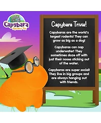 Power Your Fun Capybara Squishy Toy 2 Pack