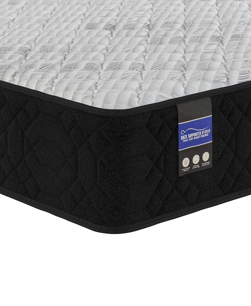 Spring Air Back Supporter Amelia 12" Hybrid Firm Tight Top Mattress Set, Queen