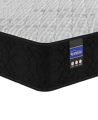 Spring Air Back Supporter Amelia 12" Hybrid Firm Tight Top Mattress Set, Queen