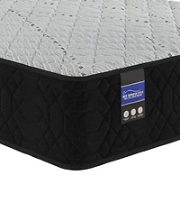 Spring Air Hannah 13" Hybrid Firm Tight Top Mattress, Twin Xl