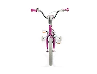 Hongge 16 Inch Kids Bike with Adjustable Handlebar