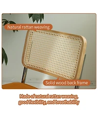 Streamdale Furniture Velvet Rattan Dining Chairs Chrome Legs (Set of 2)