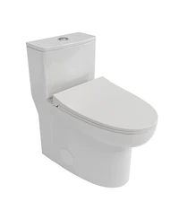 Casainc-One-Piece Dual Flush 1.1/1.6 Gpf Elongated Bathroom Fixture Comfort Seat Height, Soft-Close Seat,Glazed Surface
