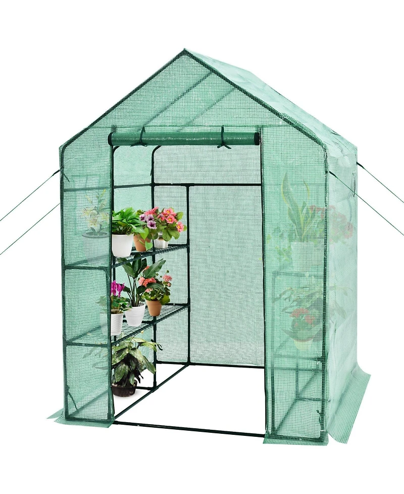 Walk-in Greenhouse 56 x 56 x 77 Inch Gardening with Observation Windows