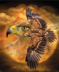 SunsOut Spirit of the Wind 1000 piece Jigsaw Puzzle for Adults
