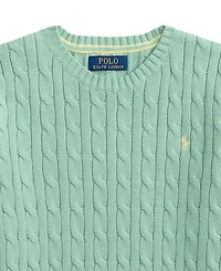 Polo Ralph Lauren Boys' 8-20 Cable-Knit Rib Cuff Sweater