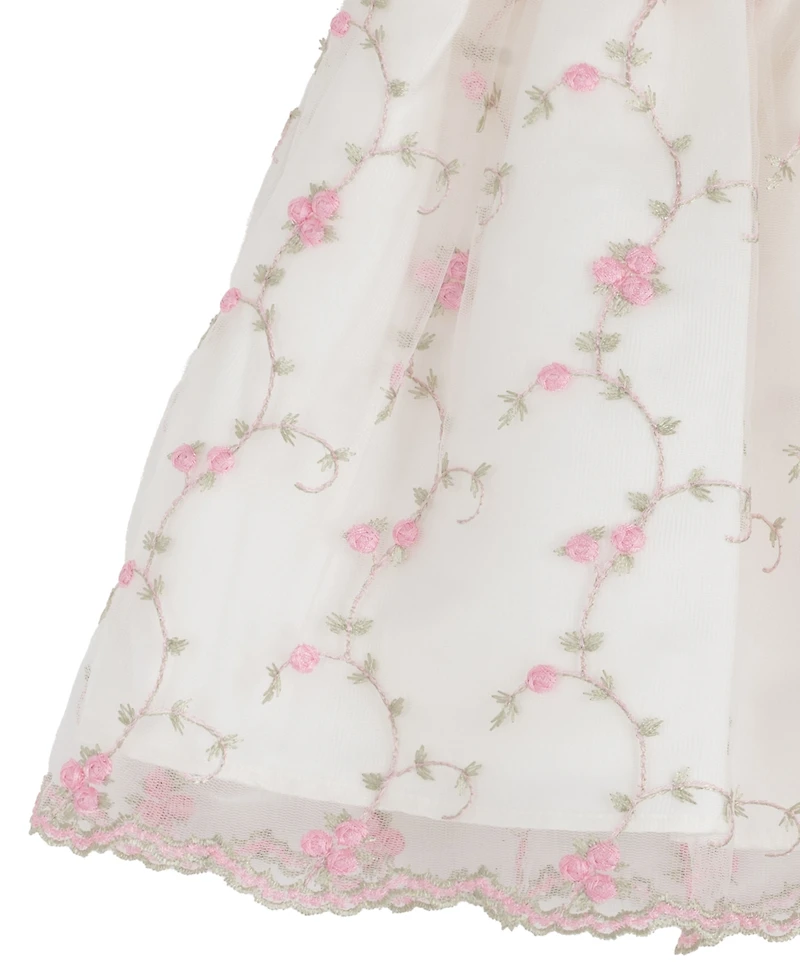 Rare Editions Baby Girls' Flower Vine Embroidery Round Neck Mesh Dress and Panty, 2-Piece Set