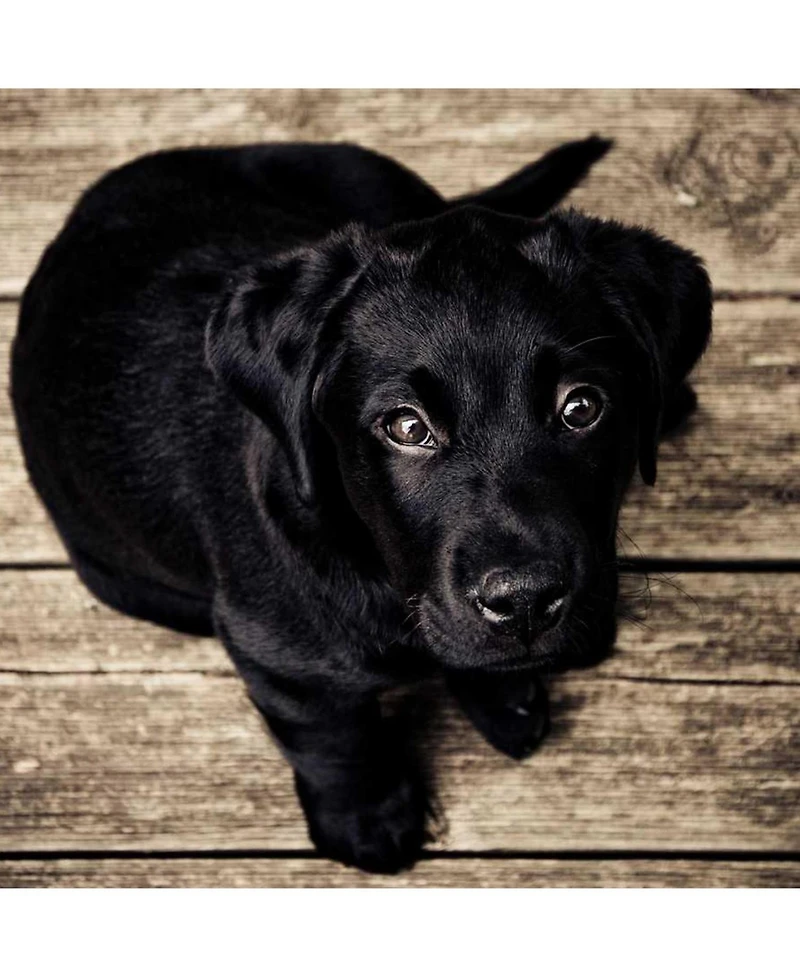 gaomon Outdoor Kitchen Drawers, Stainless Steel with Paper Towel Holder, Smooth Glide, Durable Bbq Storage