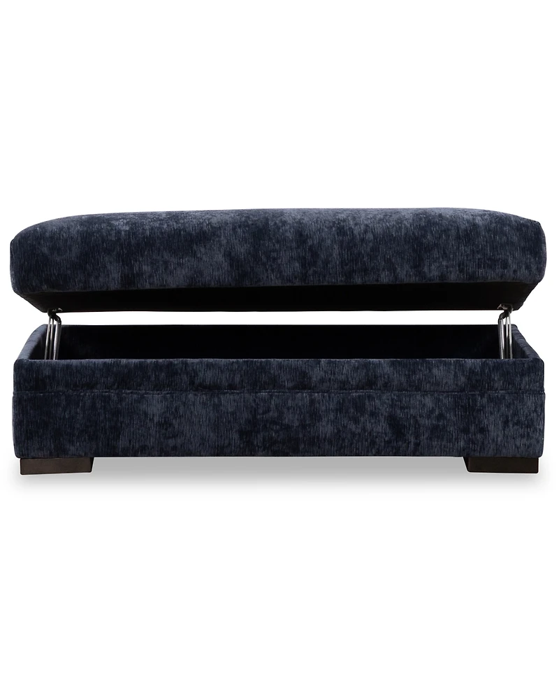 Furniture 19" Triana Storage Ottoman